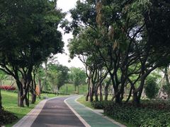 -王借岗森林公园