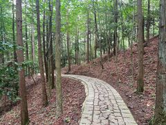 -四明山国家森林公园