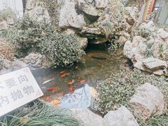 -上海市皮肤病医院(武夷路院区)