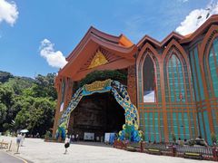 -西双版纳原始森林公园