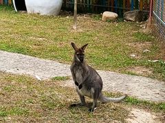 -广东花都香草世界旅游度假区