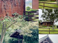 -梁子湖东篱老屋生态庄园