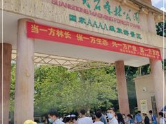 -广东茂名森林公园