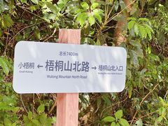 -梧桐山风景名胜区