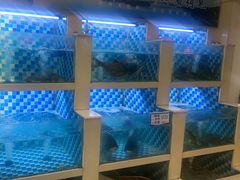 -野渡坡·极致湘菜·庭院餐厅(汉阳店)