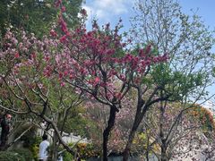 -乌山风景区