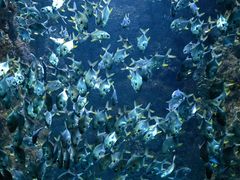 -海合安青岛极地海洋公园