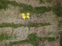android_upload_pic-房山世界地质公园博物馆