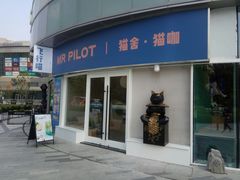 门面-飞行喵MR PILOT|猫舍·猫咖(静安大融城店)