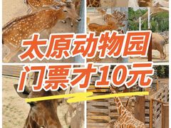 -太原动物园