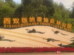 -西双版纳原始森林公园