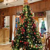 🎄终于感受到了惠州的圣诞氛围｜这家太好拍了