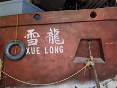 -重庆欢乐海底世界