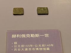 -西安大唐西市博物馆