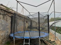 -大自然农场蔬菜草莓采摘园
