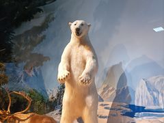 -陕西自然博物馆