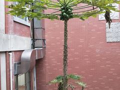 -芙蓉餐厅(厦大店)