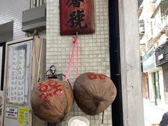 -洪馨椰子