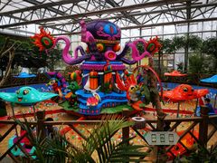 -南宫五洲植物乐园