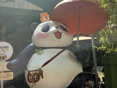 -轩客会(熊猫书店)