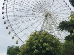 -凤岭儿童公园