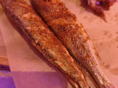 -夜火烤摊·东北烧烤酒场·老杨小黄鱼