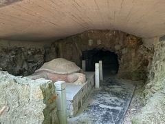 -上海佘山国家森林公园天马山园