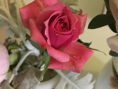 -美丽心情蛋糕(江苏路店)