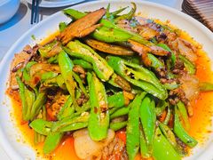 青椒回锅肉-陈麻婆豆腐(春熙店)