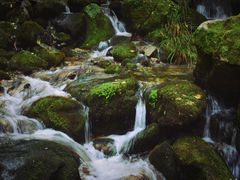 -终南山国家森林公园