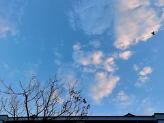 -上方山森林动物世界