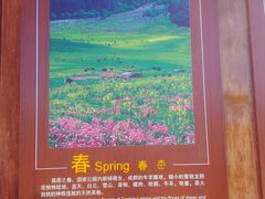 -碧塔海