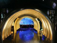 -迪拜帆船酒店海底餐厅