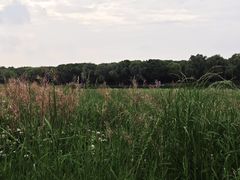 -阳澄湖半岛旅游度假区