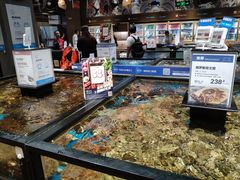 -盒马鲜生(皇庭广场店)