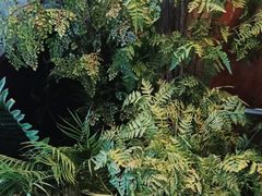 -江小渔鲜鱼火锅(西二道街店)