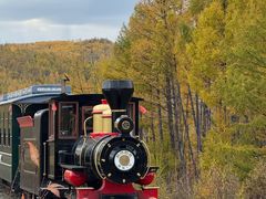 -莫尔道嘎国家森林公园