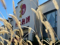 -旺顺阁鱼头泡饼(小红门店)