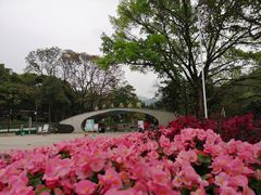 -云溪植物园
