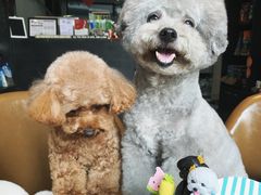 -Oh My Dog宠物沙龙(伊珊娜皮毛护理店)