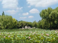 -东升八家郊野公园