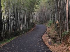 -苏州环秀晓筑养生度假村