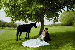 -巴黎恋人(盛景嘉园店)