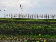 -凤凰沟景区
