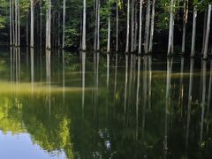 -波尔登森林公园