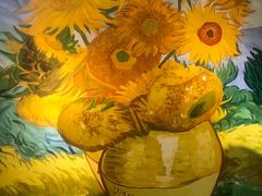 -天津梵高星空艺术馆(天河城旗舰店)