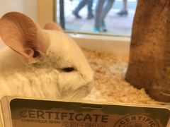 -龙猫仔乐园(惠福东路店)