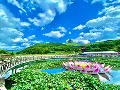 -帽儿山风景区