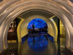 -迪拜帆船酒店海底餐厅