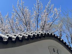 -吉林大学(前卫南区)
